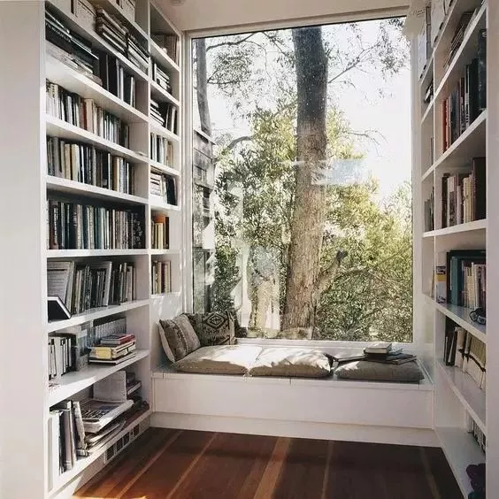 dreamy library